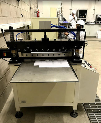 Electrode Cutting Machine Battery Production Equipment Pneumatic Intermittent Cutter
